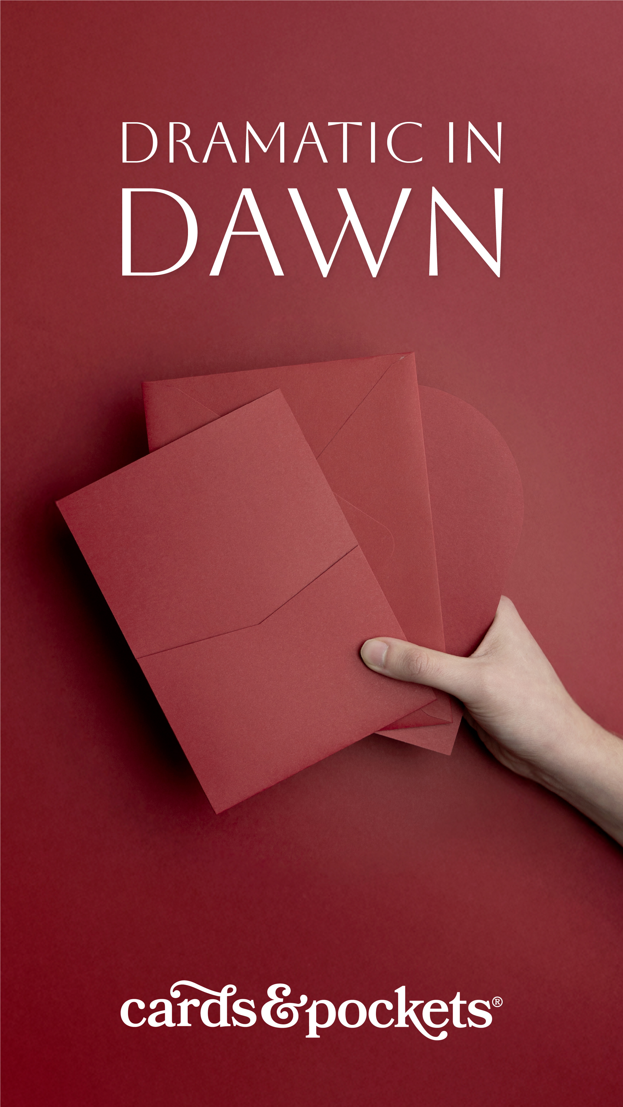 Stylish in Dawn - Cards and Pockets