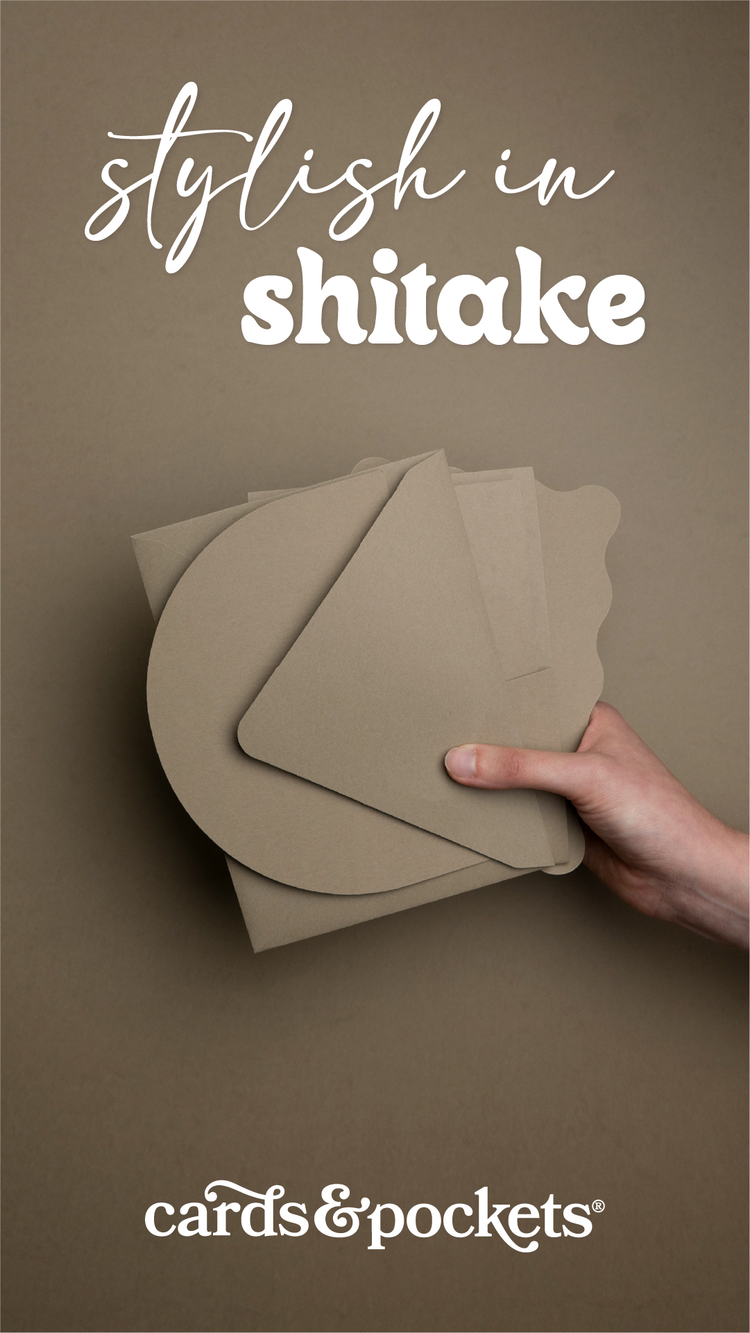 Stylish in Shitake - Cards and Pockets